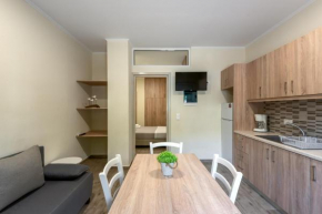 Mr.Giannis studio in Nea Chora